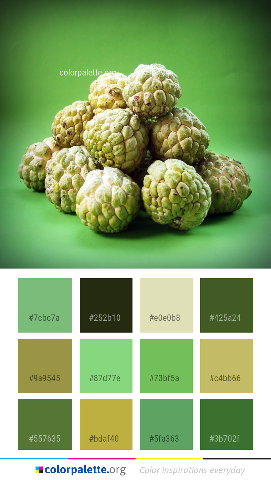 Pastel Green Color Palette ideas colorpalette