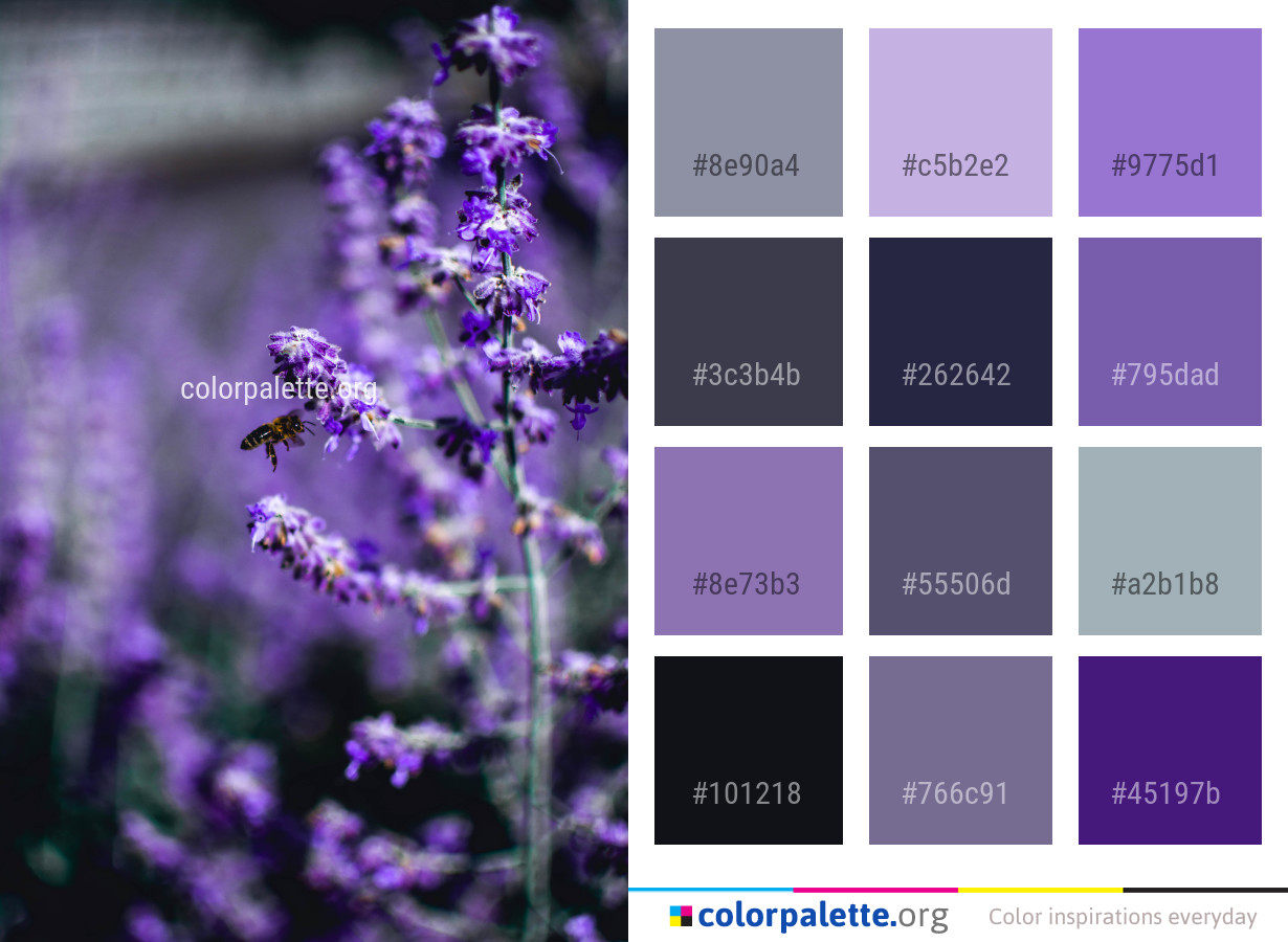 Lavender Color Palette