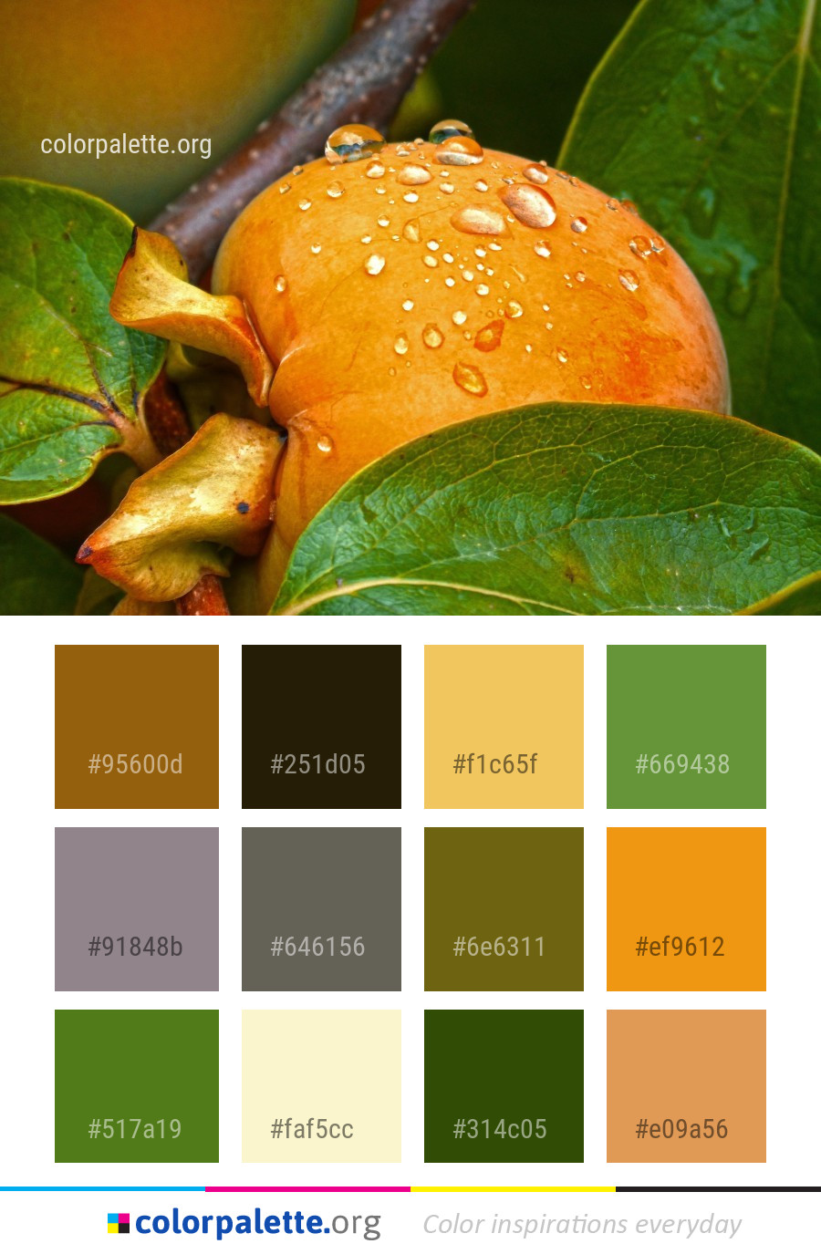 Dark green color combination discount