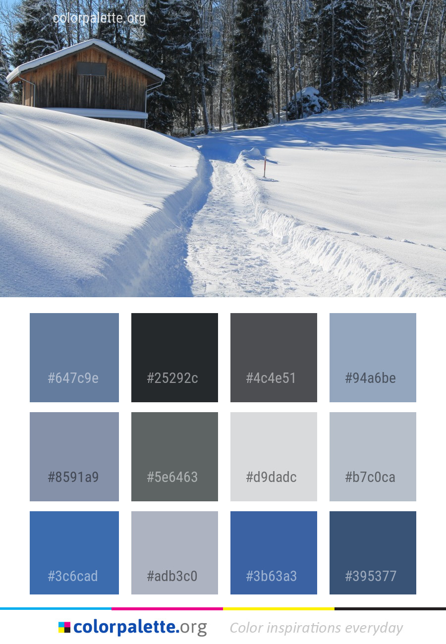 Snow Winter Freezing Color Palette | Colorpalette.org